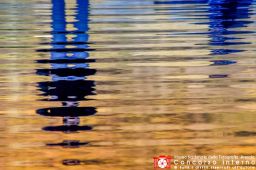 Bruno Faglia-Riflesso-2